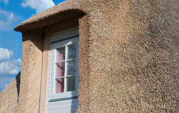 Stud Green thatch roof disadvantages